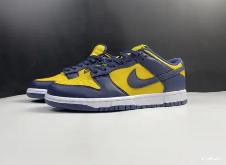 Michigan Nike Dunk DD1391-700 Low 0504